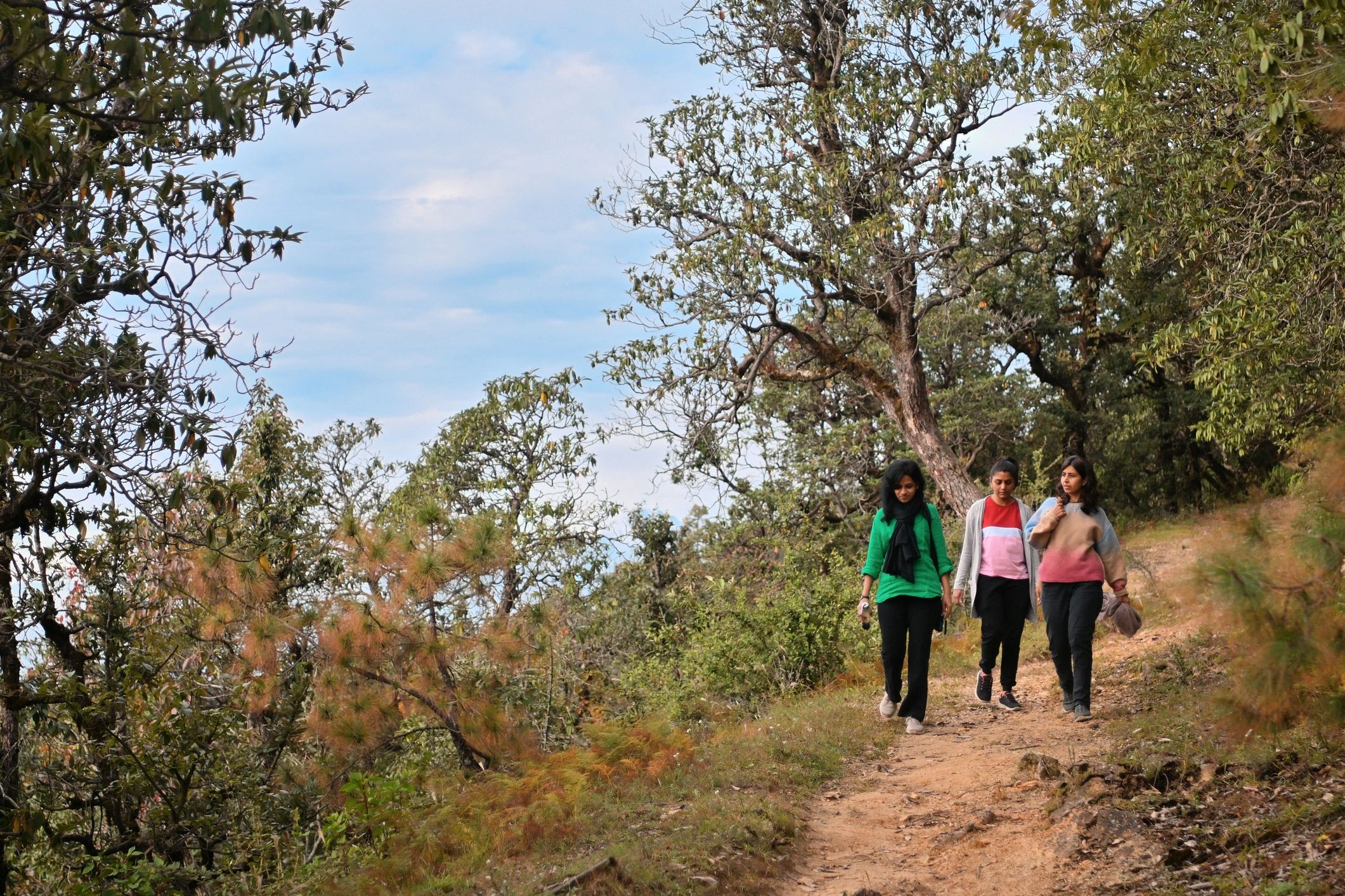 Three women walking on a forest trail in the hills